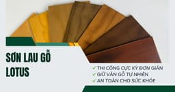 SƠN LAU GỖ LOTUS - VÂN GỖ TỰ NHIÊN, TIẾT KIỆM CHI PHÍ